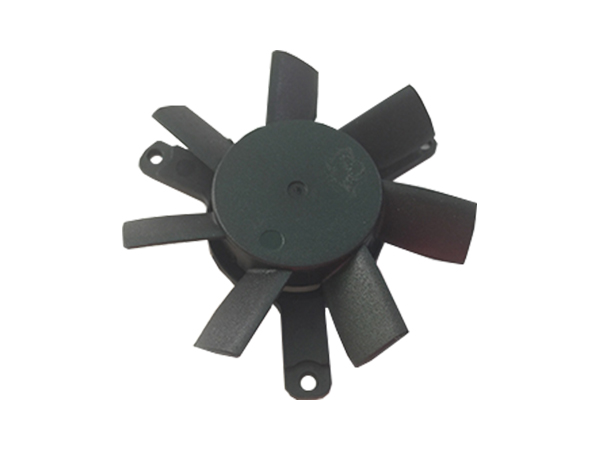 黄片蘑菇视频蘑菇免费视频下载